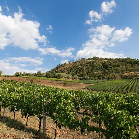 Villa Rosano Greve in Chianti Luaran gambar