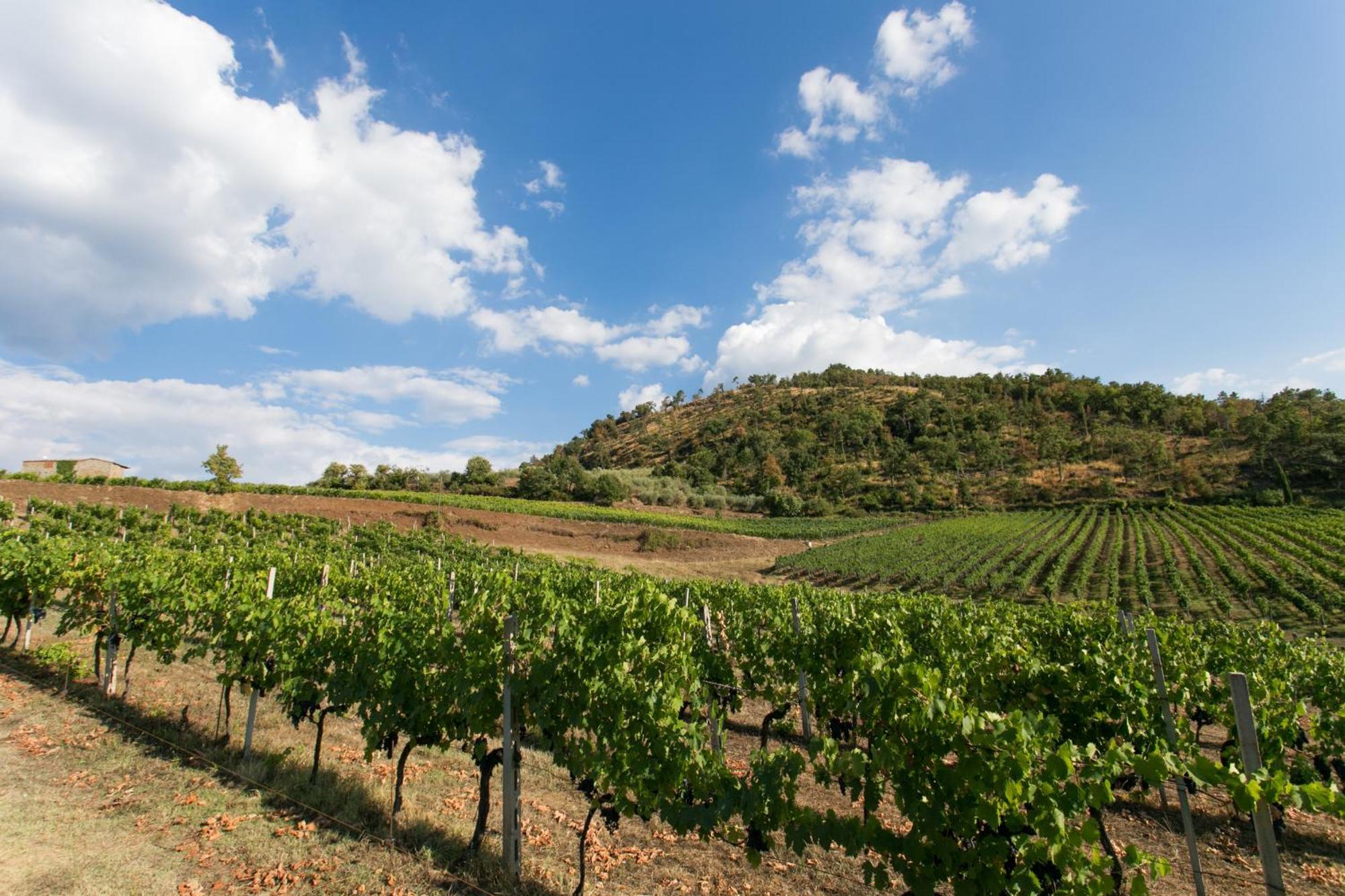 Villa Rosano Greve in Chianti Luaran gambar